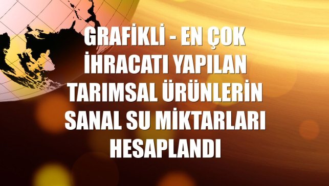 GRAFİKLİ - En çok ihracatı yapılan tarımsal ürünlerin sanal su miktarları hesaplandı