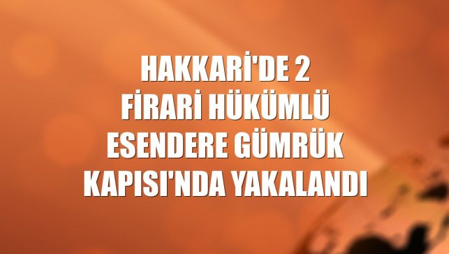 Hakkari'de 2 firari hükümlü Esendere Gümrük Kapısı'nda yakalandı
