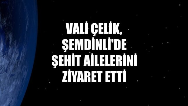 Vali Çelik, Şemdinli'de şehit ailelerini ziyaret etti