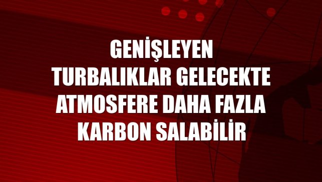 Genişleyen turbalıklar gelecekte atmosfere daha fazla karbon salabilir