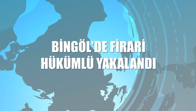Bingöl'de firari hükümlü yakalandı