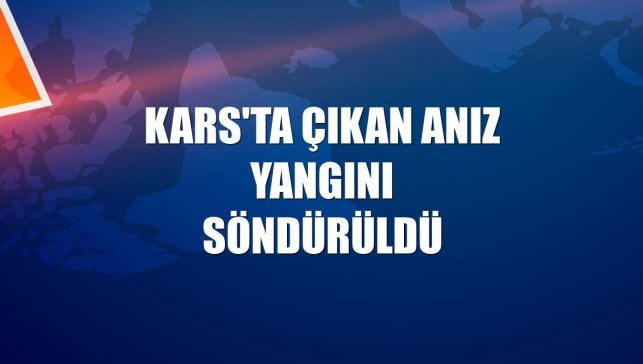 Kars'ta çıkan anız yangını söndürüldü