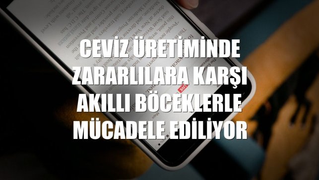 Ceviz üretiminde zararlılara karşı akıllı böceklerle mücadele ediliyor