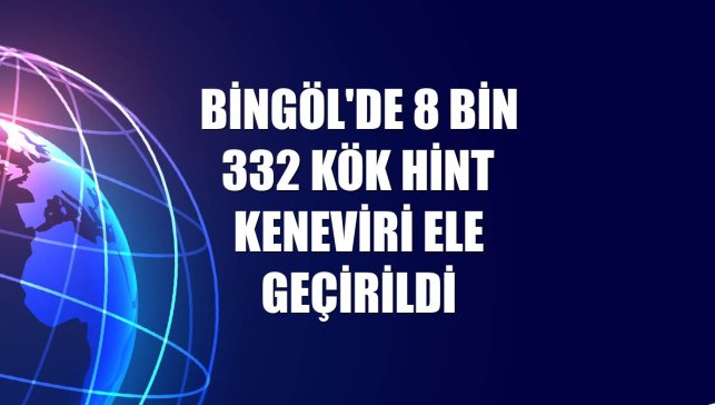 Bingöl'de 8 bin 332 kök Hint keneviri ele geçirildi