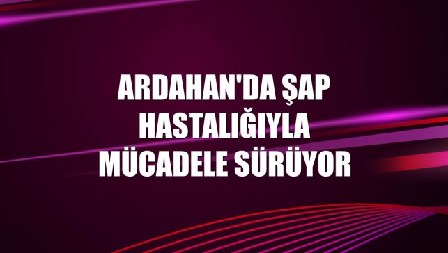 Ardahan'da şap hastalığıyla mücadele sürüyor