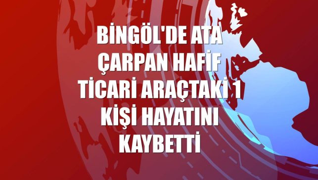 Bingöl'de ata çarpan hafif ticari araçtaki 1 kişi hayatını kaybetti