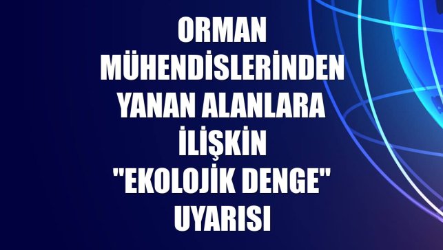 Orman mühendislerinden yanan alanlara ilişkin "ekolojik denge" uyarısı