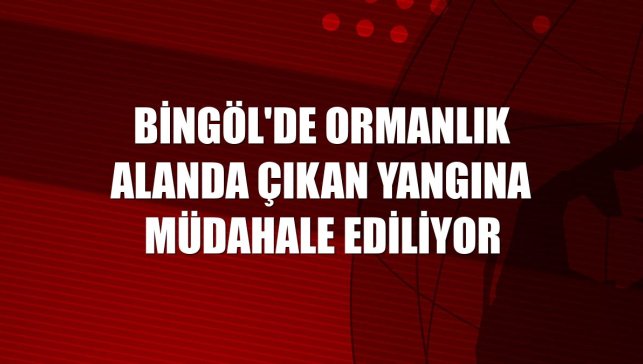 Bingöl'de ormanlık alanda çıkan yangına müdahale ediliyor