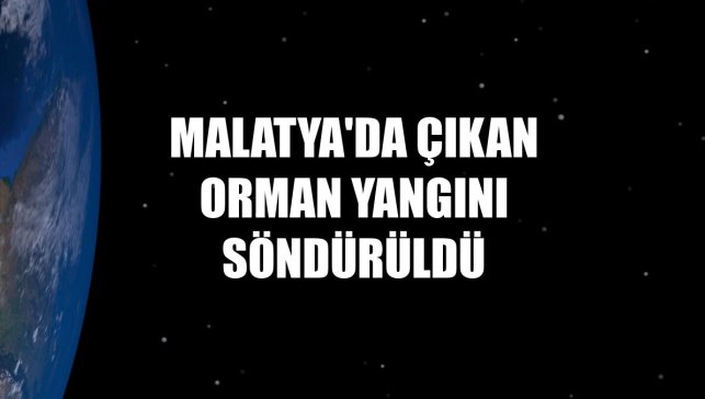 Malatya'da çıkan orman yangını söndürüldü