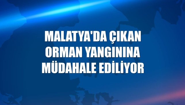 Malatya'da çıkan orman yangınına müdahale ediliyor