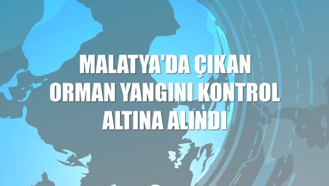Malatya'da çıkan orman yangını kontrol altına alındı