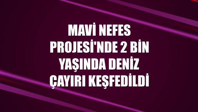 Mavi Nefes Projesi'nde 2 bin yaşında deniz çayırı keşfedildi