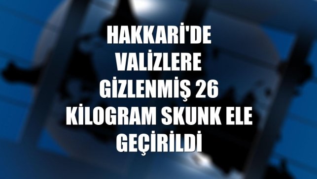 Hakkari'de valizlere gizlenmiş 26 kilogram skunk ele geçirildi