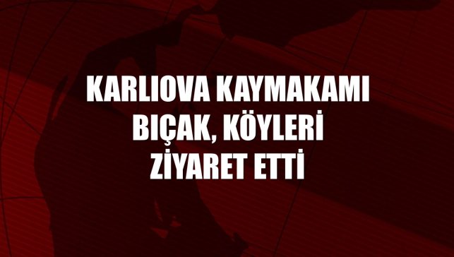 Karlıova Kaymakamı Bıçak, köyleri ziyaret etti