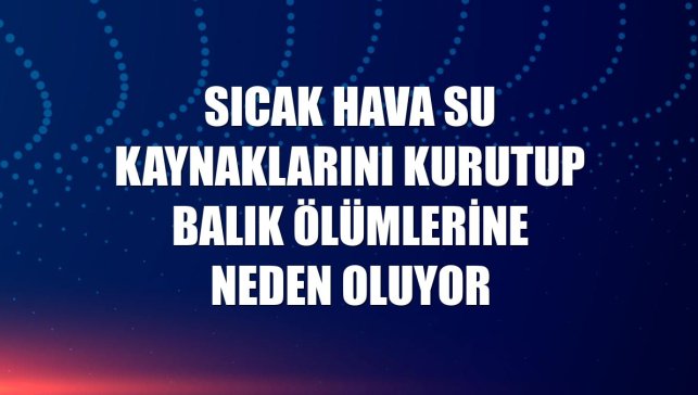 Sıcak hava su kaynaklarını kurutup balık ölümlerine neden oluyor