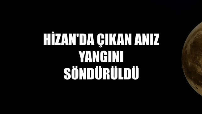Hizan'da çıkan anız yangını söndürüldü