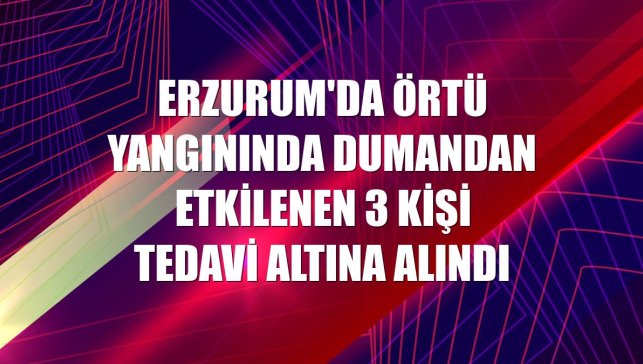 Erzurum'da örtü yangınında dumandan etkilenen 3 kişi tedavi altına alındı