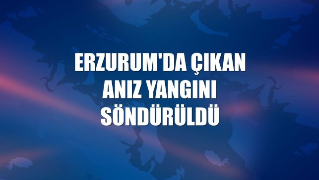 Erzurum'da çıkan anız yangını söndürüldü