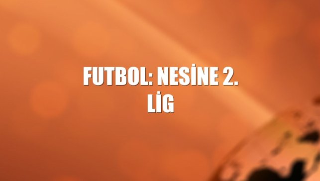 Futbol: Nesine 2. Lig