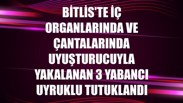 Bitlis'te iç organlarında ve çantalarında uyuşturucuyla yakalanan 3 yabancı uyruklu tutuklandı