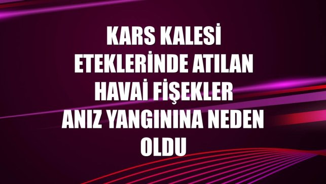 Kars Kalesi eteklerinde atılan havai fişekler anız yangınına neden oldu