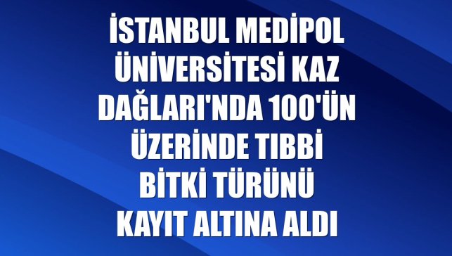 İstanbul Medipol Üniversitesi Kaz Dağları'nda 100'ün üzerinde tıbbi bitki türünü kayıt altına aldı