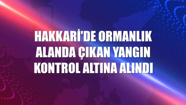 Hakkari'de ormanlık alanda çıkan yangın kontrol altına alındı
