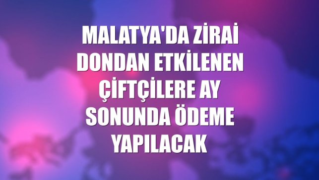 Malatya'da zirai dondan etkilenen çiftçilere ay sonunda ödeme yapılacak