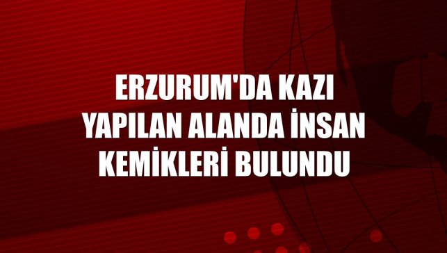 Erzurum'da kazı yapılan alanda insan kemikleri bulundu