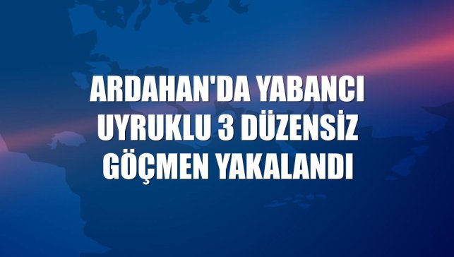 Ardahan'da yabancı uyruklu 3 düzensiz göçmen yakalandı