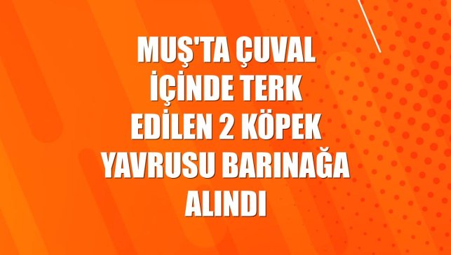 Muş'ta çuval içinde terk edilen 2 köpek yavrusu barınağa alındı