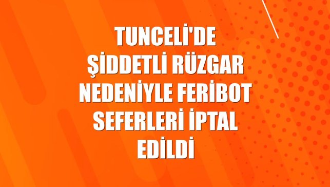 Tunceli'de şiddetli rüzgar nedeniyle feribot seferleri iptal edildi