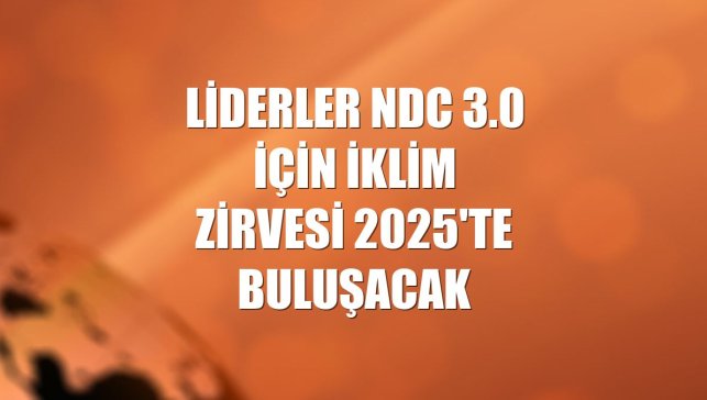 Liderler NDC 3.0 için İklim Zirvesi 2025'te buluşacak