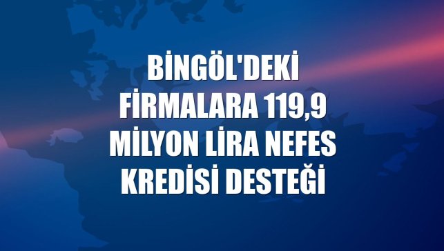 Bingöl'deki firmalara 119,9 milyon lira Nefes Kredisi desteği