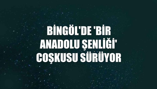 Bingöl'de 'Bir Anadolu Şenliği' coşkusu sürüyor