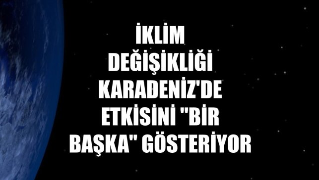 İklim değişikliği Karadeniz'de etkisini "bir başka" gösteriyor