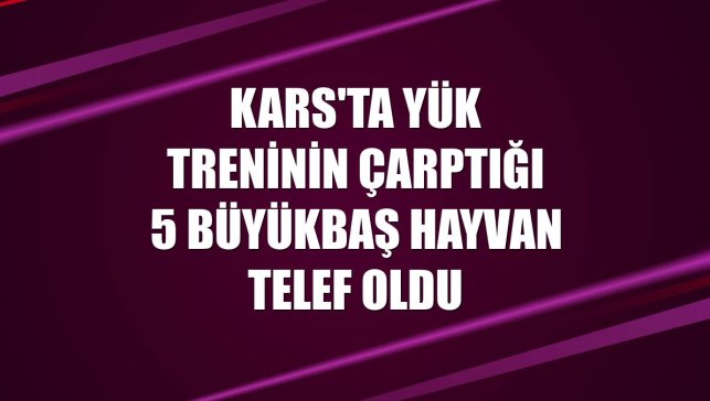 Kars'ta yük treninin çarptığı 5 büyükbaş hayvan telef oldu