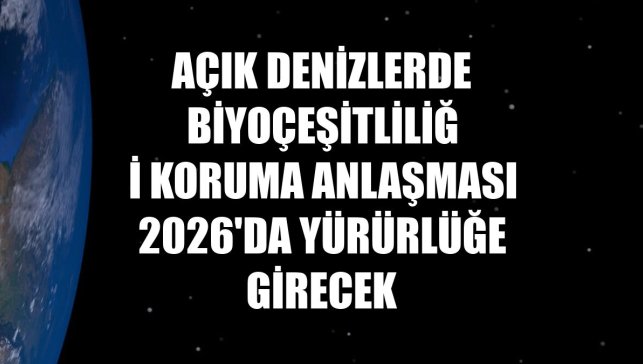 Açık Denizlerde Biyoçeşitliliği Koruma Anlaşması 2026'da yürürlüğe girecek