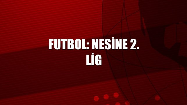 Futbol: Nesine 2. Lig