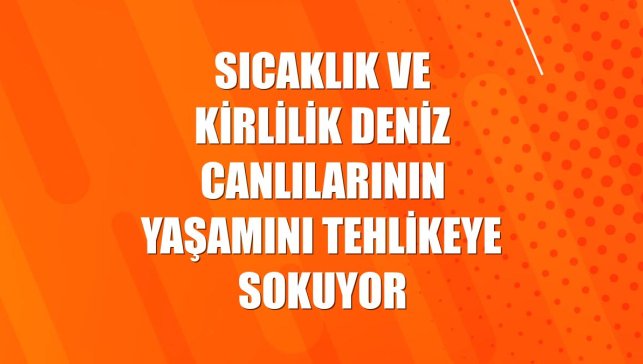 Sıcaklık ve kirlilik deniz canlılarının yaşamını tehlikeye sokuyor