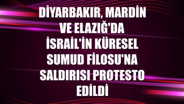 Diyarbakır, Mardin ve Elazığ'da İsrail'in Küresel Sumud Filosu'na saldırısı protesto edildi