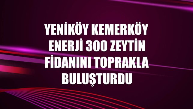 Yeniköy Kemerköy Enerji 300 zeytin fidanını toprakla buluşturdu