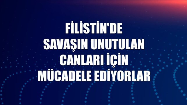 Filistin'de savaşın unutulan canları için mücadele ediyorlar