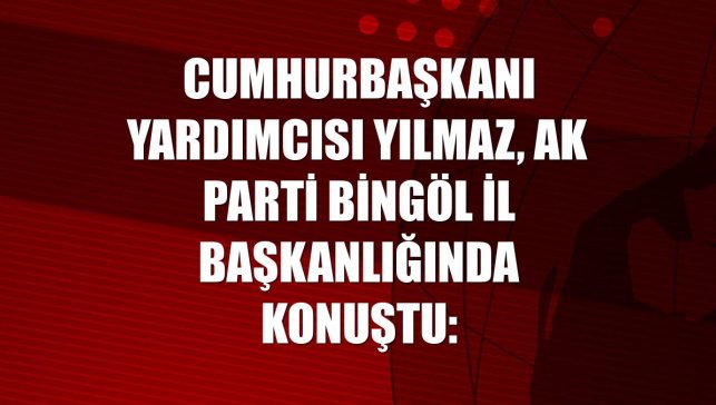 Cumhurbaşkanı Yardımcısı Yılmaz, AK Parti Bingöl İl Başkanlığında konuştu: