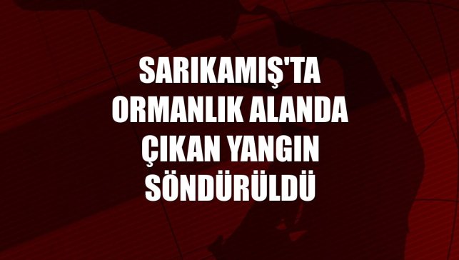 Sarıkamış'ta ormanlık alanda çıkan yangın söndürüldü