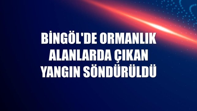 Bingöl'de ormanlık alanlarda çıkan yangın söndürüldü