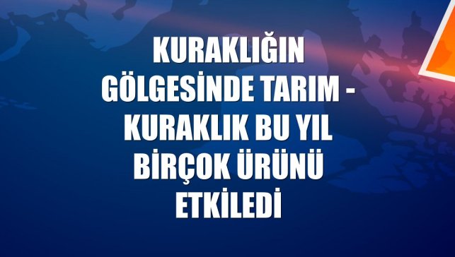 KURAKLIĞIN GÖLGESİNDE TARIM - Kuraklık bu yıl birçok ürünü etkiledi
