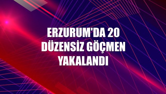 Erzurum'da 20 düzensiz göçmen yakalandı