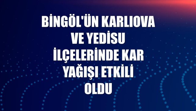 Bingöl'ün Karlıova ve Yedisu ilçelerinde kar yağışı etkili oldu