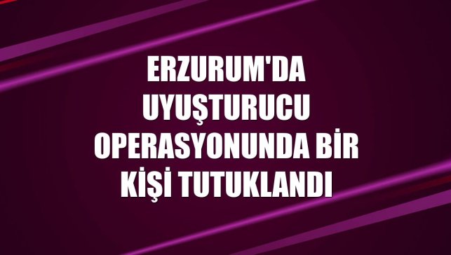 Erzurum'da uyuşturucu operasyonunda bir kişi tutuklandı